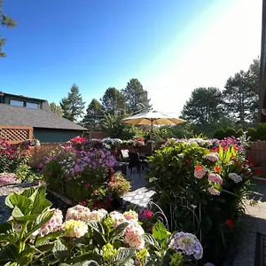 Ferienhaus Garden In -beautiful In 